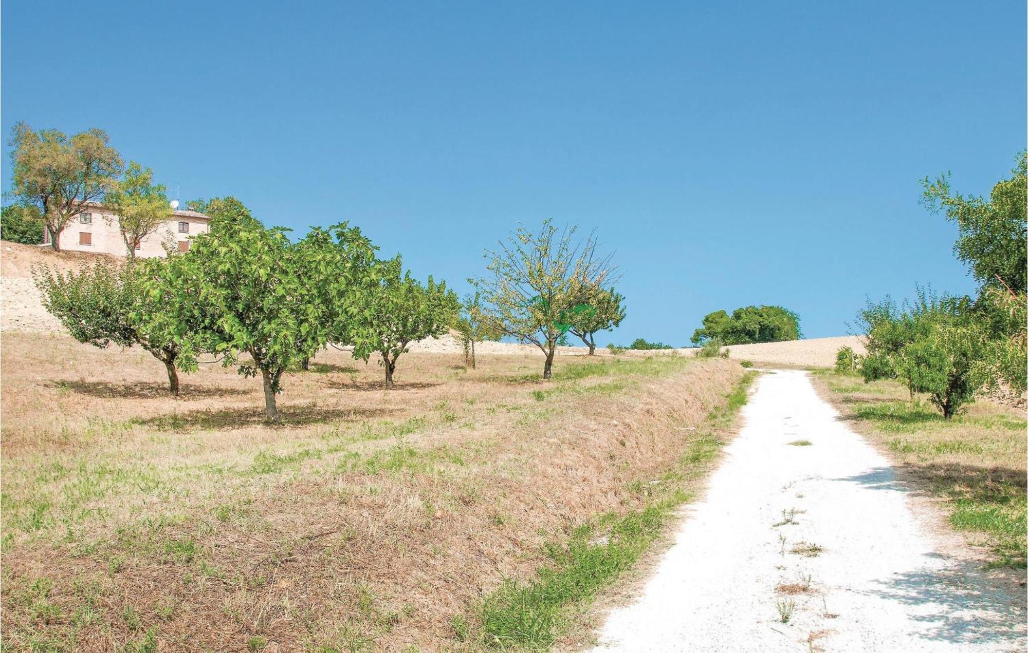 Strada Dei Condotti Pesaro Ngoại thất bức ảnh